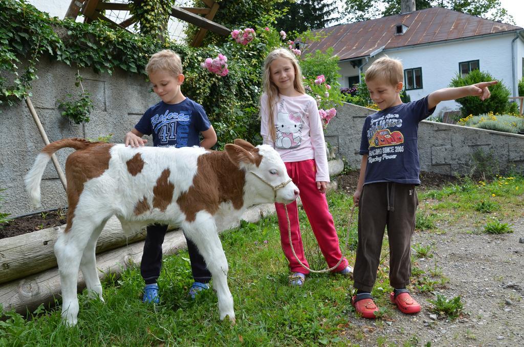 Ferienwohnung Vonwald Michelbach Екстер'єр фото