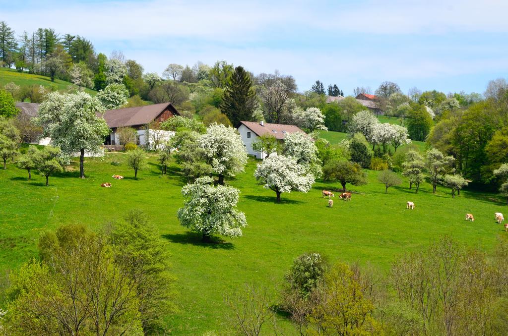 Ferienwohnung Vonwald Michelbach Екстер'єр фото