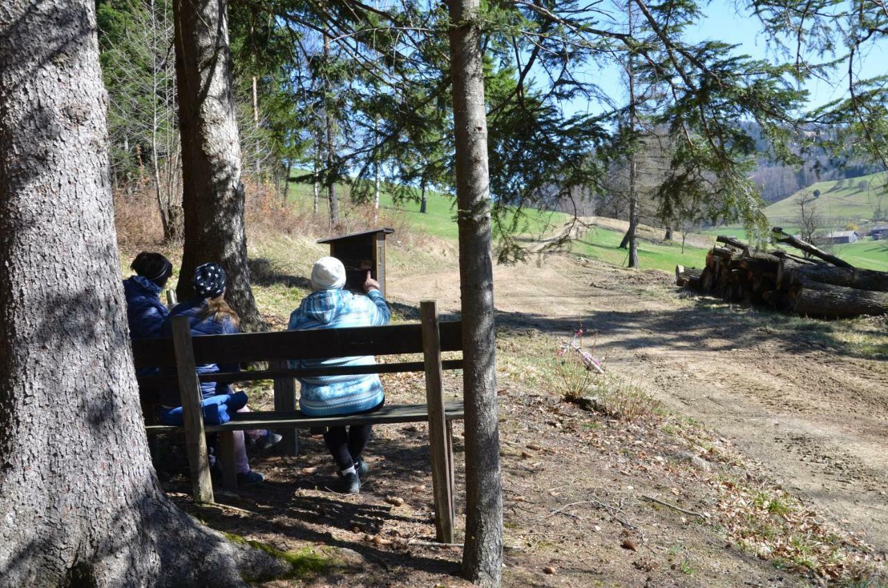 Ferienwohnung Vonwald Michelbach Екстер'єр фото